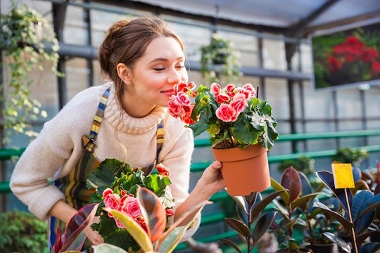 Benefits of flower gardening