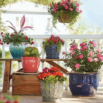 Containers to Plant Flowers