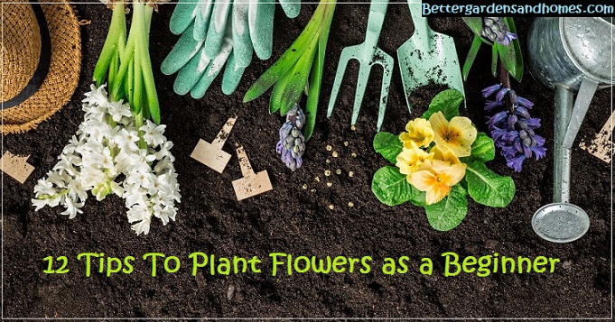 How To Plant Flowers