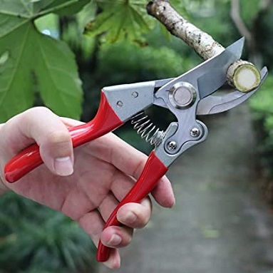Pruning Shears - must have tools for gardening