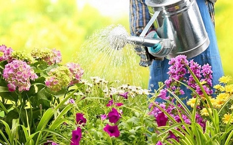  Watering Your flowers