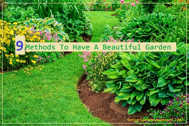 how To have A Beautiful Garden