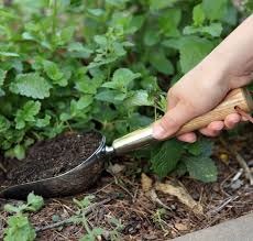 soil scoop