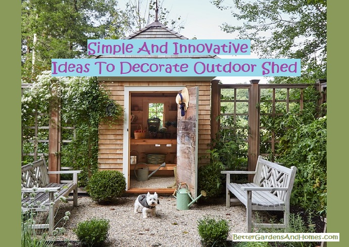 Ideas To Decorate Outdoor Shed