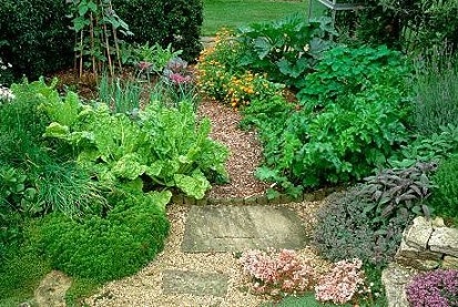 herb Small Garden Ideas At Home