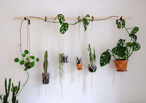 Hanging planter gardening ideas for home diy