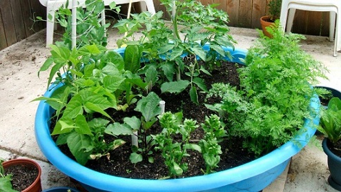 Use your kiddie pool for garden planter