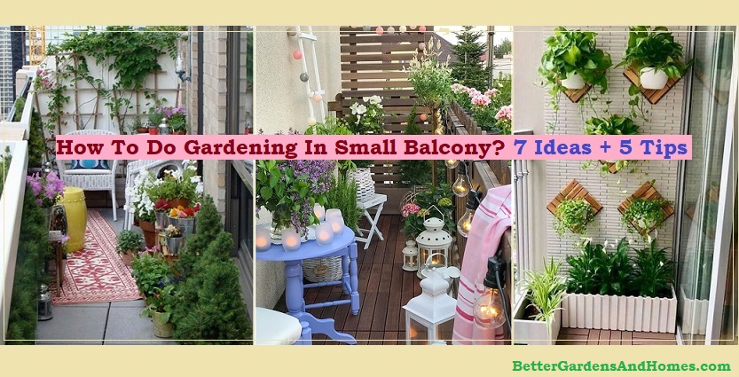 How To Do Gardening In Small Balcony, How To Do Balcony Gardening