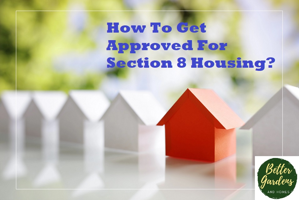 How To Get Approved For Section 8