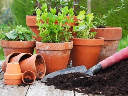 Choose the right garden containers