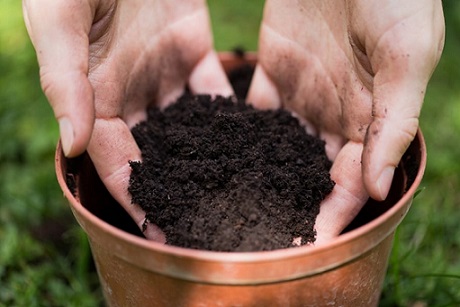 Put more potting soil to the container pot