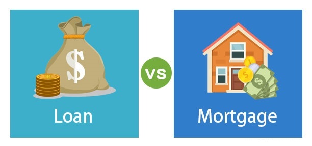 compare and choose a loan option